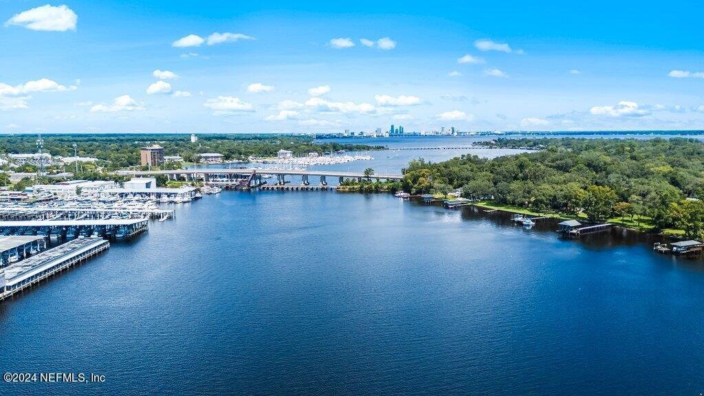 Read more about the article Things To Do In Jacksonville Florida – A Vacationers Guide